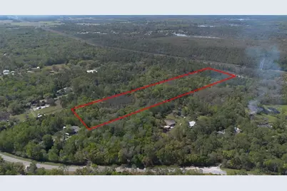 Jungle Road, Geneva, FL 32732 - Photo 8