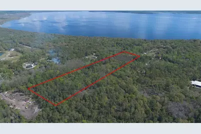 Jungle Road, Geneva, FL 32732 - Photo 4