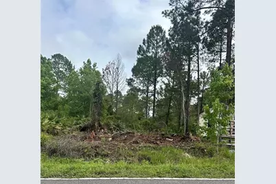 Reynolds Road, De Leon Springs, FL 32130 - Photo 2