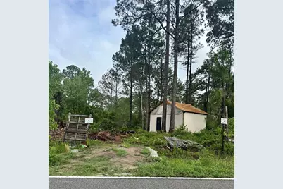 Reynolds Road, De Leon Springs, FL 32130 - Photo 1