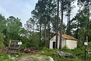 Reynolds Rd, De Leon Springs, FL 32130 - Photo 1