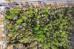 0 Lake Helen Osteen Rd, Deltona, FL 32738 - Photo 1