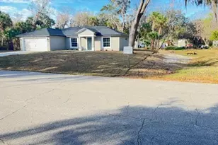 2300 Lime Tree Dr, Edgewater, FL 32141 - Photo 24