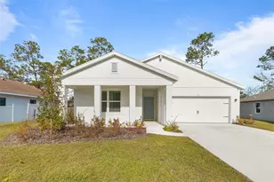 17 Birchwood Pl, Palm Coast, FL 32137 - Photo 1