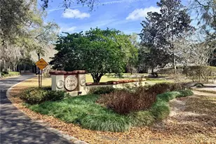 908 Cabbage Ct, Deland, FL 32720 - Photo 60