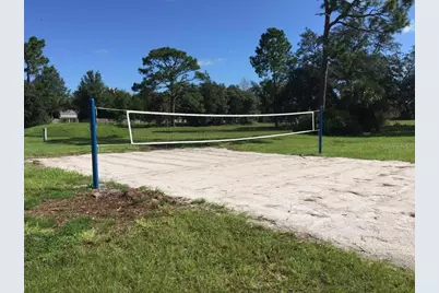 Dahlia Court, Eustis, FL 32736 - Photo 6