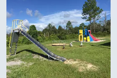 Dahlia Court, Eustis, FL 32736 - Photo 4