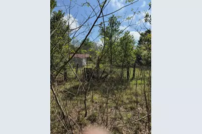 2551 SW 107th Place, Ocala, FL 34476 - Photo 4