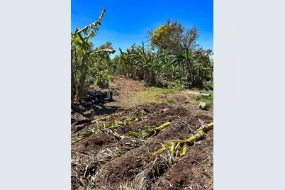 150 Catalina Drive, Debary, FL 32713 - Photo 18