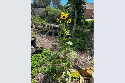 150 Catalina Drive, Debary, FL 32713 - Photo 14