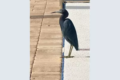 1000 Lake Of The Woods Boulevard #206F, Fern Park, FL 32730 - Photo 24