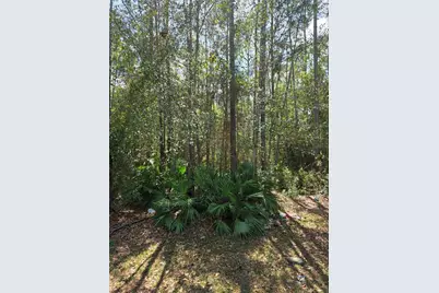 24326 Maxwell, Astor, FL 32102 - Photo 12