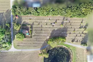 180 E 3rd Ave, Pierson, FL 32180 - Photo 2