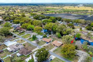 27727 Lois Dr, Tavares, FL 32778 - Photo 10