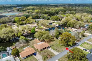 27727 Lois Dr, Tavares, FL 32778 - Photo 28