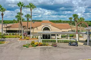 727 Grape Ivy Ln, New Smyrna Beach, FL 32168 - Photo 44