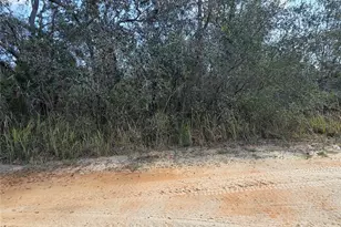 S 7th St, Deland, FL 32724 - Photo 1