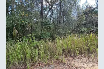 S 7th Street, Deland, FL 32724 - Photo 2