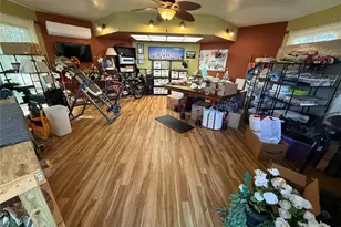 347 E 3rd Ave, Mount Dora, FL 32757 - Photo 80