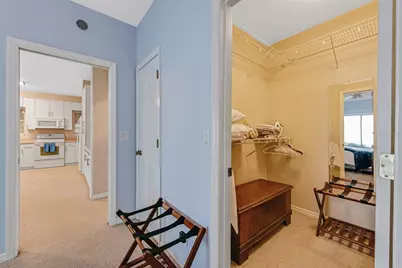 347 E 3rd Avenue, Mount Dora, FL 32757 - Photo 74