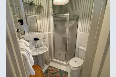 347 E 3rd Avenue, Mount Dora, FL 32757 - Photo 40