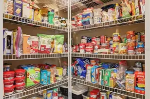 705 Ostrich Fern Ln, Deland, FL 32720 - Photo 22