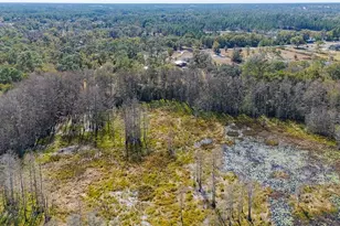 2100 E Kicklighter Rd, Lake Helen, FL 32744 - Photo 60