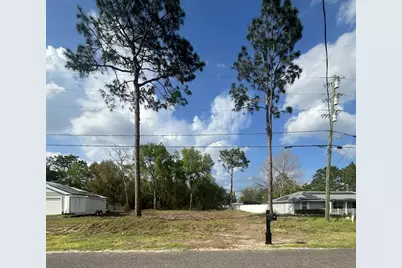 (Tbd 202) Locust Rd, Ocala, FL 34472 - Photo 4
