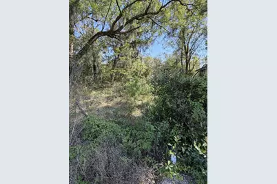 110 E Mercers Fernery Road, Deland, FL 32724 - Photo 2