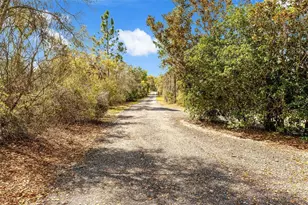 326 Enterprise Osteen Rd, Osteen, FL 32764 - Photo 28