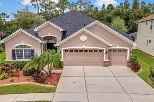 3247 Diamond Falls Cir, Land O Lakes, FL 34638 - Photo 1