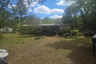 14721 NE 146th Ave, Waldo, FL 32694 - Photo 2