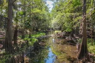 1501 Ashby Creek Rd, Osteen, FL 32764 - Photo 4