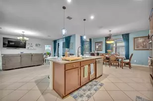 2119 White Dahlia Dr, Apopka, FL 32712 - Photo 10