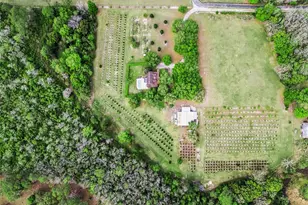 3466 Cross Branch Rd, Deland, FL 32724 - Photo 38