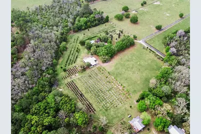 3466 Cross Branch Road, Deland, FL 32724 - Photo 36