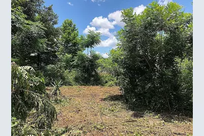 257 Lake Lane, Debary, FL 32713 - Photo 6