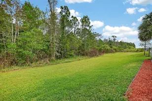 3355 Bellino Blvd, New Smyrna Beach, FL 32168 - Photo 44