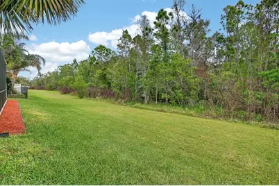 3355 Bellino Boulevard, New Smyrna Beach, FL 32168 - Photo 46