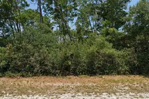 3048 Coventry St, Deltona, FL 32738 - Photo 1