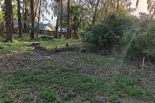 2214 Needle Palm Dr, Edgewater, FL 32141 - Photo 1