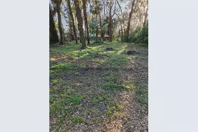 2214 Needle Palm Drive, Edgewater, FL 32141 - Photo 8