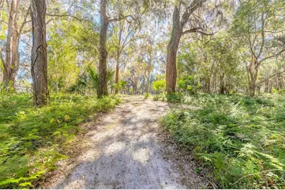 2090 & 2095 Stone Road, Deland, FL 32720 - Photo 58