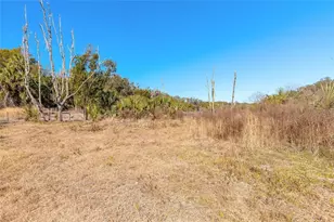 2090 & 2095 Stone Rd, Deland, FL 32720 - Photo 60