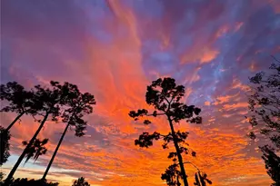 262 Northcote Ct, Deland, FL 32724 - Photo 6