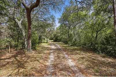 4155 Marsh Road, Deland, FL 32724 - Photo 16