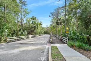120 Black Hickory Way, Ormond Beach, FL 32174 - Photo 48