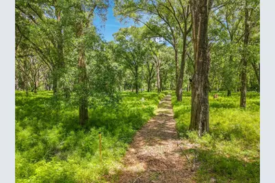 164 Denver Road, Crescent City, FL 32112 - Photo 8