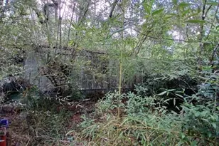 6104 NW 268th Terrace, Newberry, FL 32669 - Photo 4