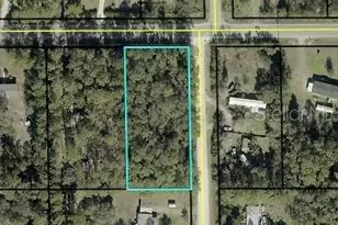 4611 Mahogany Blvd, Bunnell, FL 32110 - Photo 1